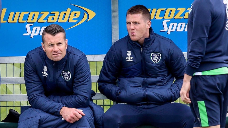Shay Given and James McCarthy sit out yesterday's training