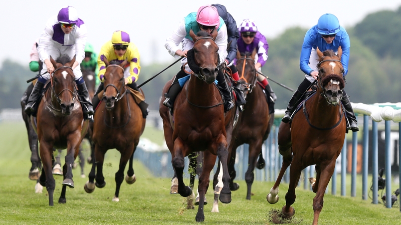 Home Of The Brave (blue silks) has been off the track since the end of May