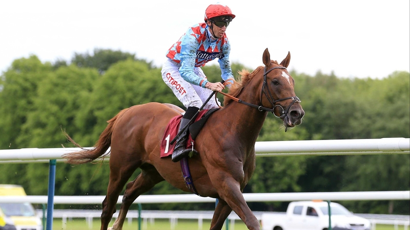 Red Verdon just missed out on snatching third place in the Irish Derby on his most recent start