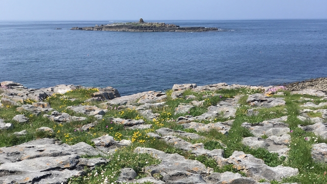 Burren near Doolin, Co Clare (Pic: Caitriona Considine)