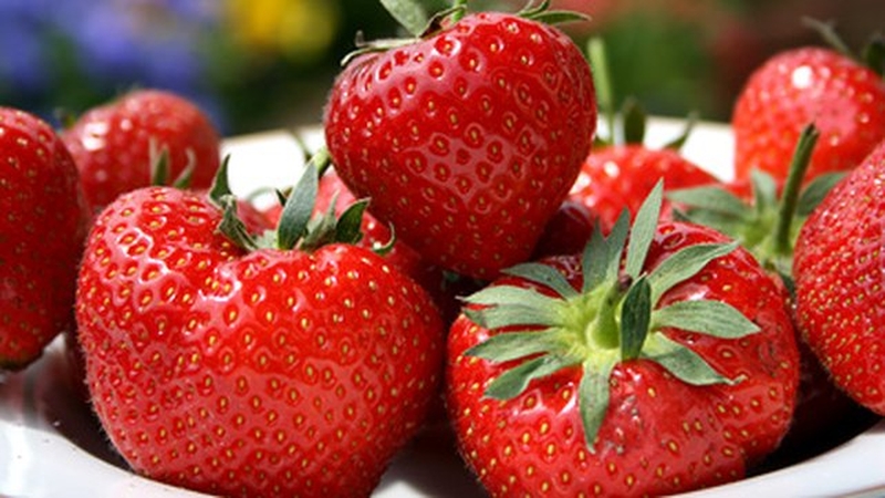 Strawberries for healthy and delicious iced lolly pops.