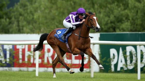 Seamie Heffernan on board Minding
