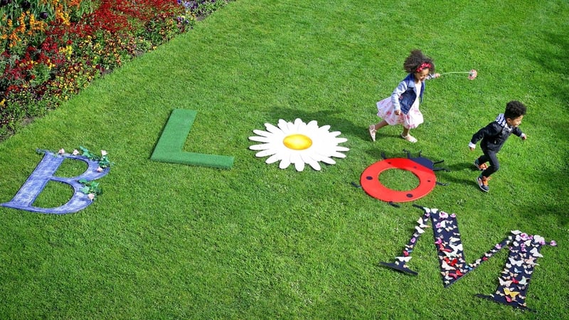 Bloom 2017: 3 Things to look out for