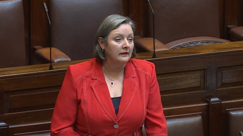 Marcella Corcoran Kennedy said a lot of negativity and viciousness is 'tossed' at public representatives