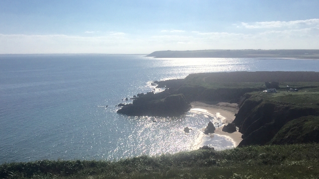 Goat Island, Co Waterford (Sharon O'Mahony)