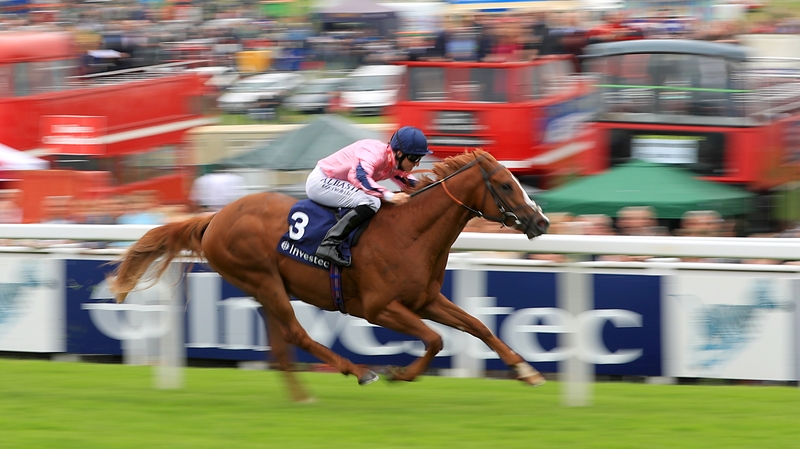 Legendary Lunch was given a nice lead into the straight and moved up to challenge for the lead with two furlongs to run