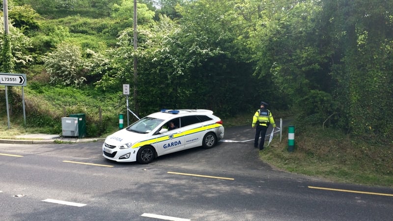 Neil Fitzgerald's body was discovered at Hills Lane in Tallaght