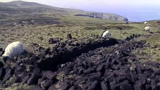 Arranmore Island (1991)