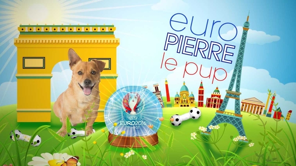Pierre Le Pup - Euro 2016 Predictions