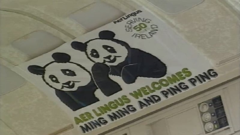 On This Week: Chinese Pandas unveiled in Dublin Zoo