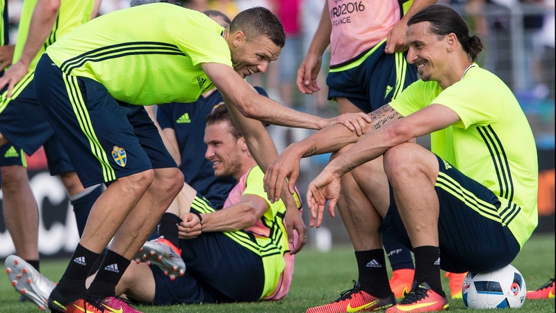Zlatan Ibrahimovic (R) and forward Marcus Berg share a joke during training