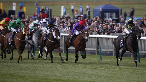 Goldream winning at Newmarket last year