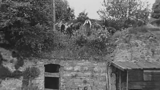 Preserving Limerick City Walls (1966)