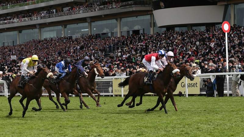 Profitable has made relentless progress this season, winning a first Group Three in April, a first Group Two in May and now a first success at the very highest level