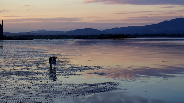Blackrock beach in Co Louth (Pic: Maebh McManus)