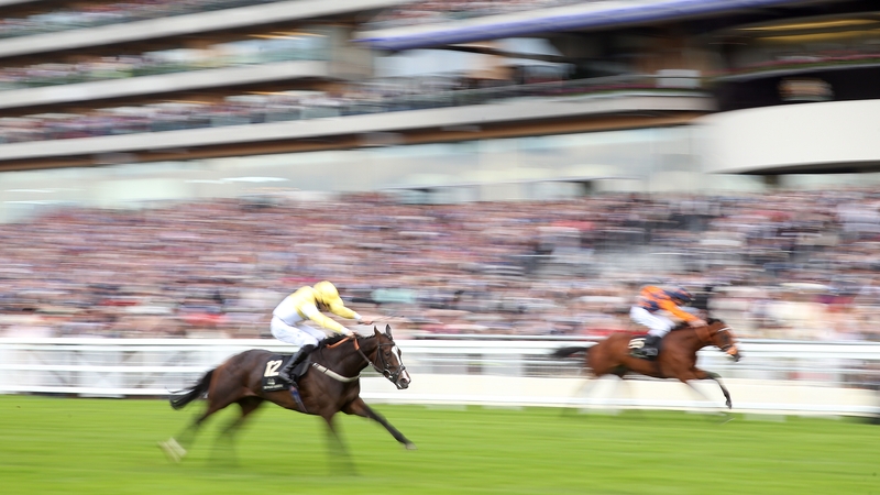 Quiet Reflection and Kachy (R) battle it out in the final furlong of the Commonwealth Cup