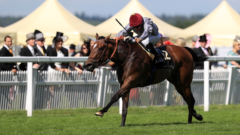 Qemah shot clear in the final furlong to win by a length and a a half