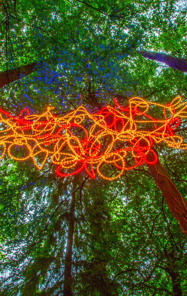 Photos: © Allen Kiely / Olga Kuzmenko