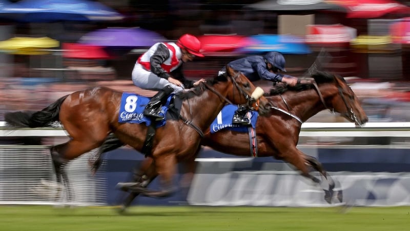 Air Force Blue wins The Big Bad Bob European Breeders Fund (C & G) Maiden last year