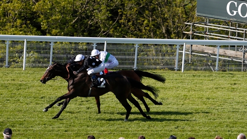 Speedy Boarding (near) breaking her maiden at Goodwood last year