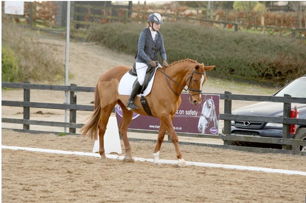 High Heels and Horses