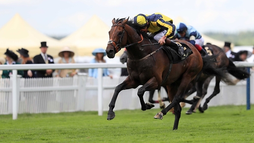 My Dream Boat is unbeaten in two starts over the Eclipse trip of ten furlongs