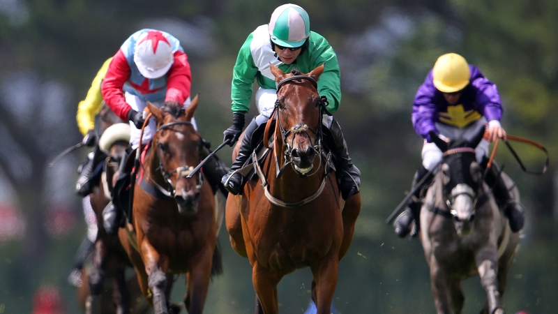 Aranhill Chief (centre) looks to earn a place in the Galway Plate
