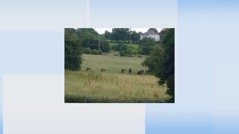 The army was called in to carry out the cull