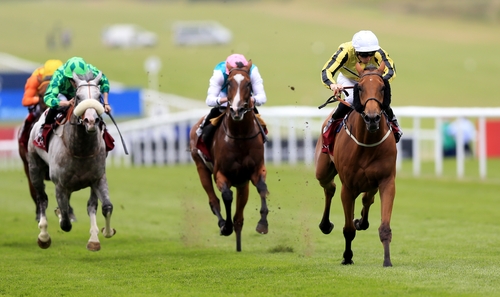 Big Orange gets a second shot at the Melbourne Cup on Tuesday