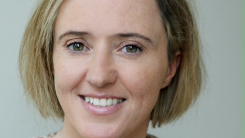 Liz Nugent: a masterclass in how to glide from one set-up to another, writes Harry Guerin.