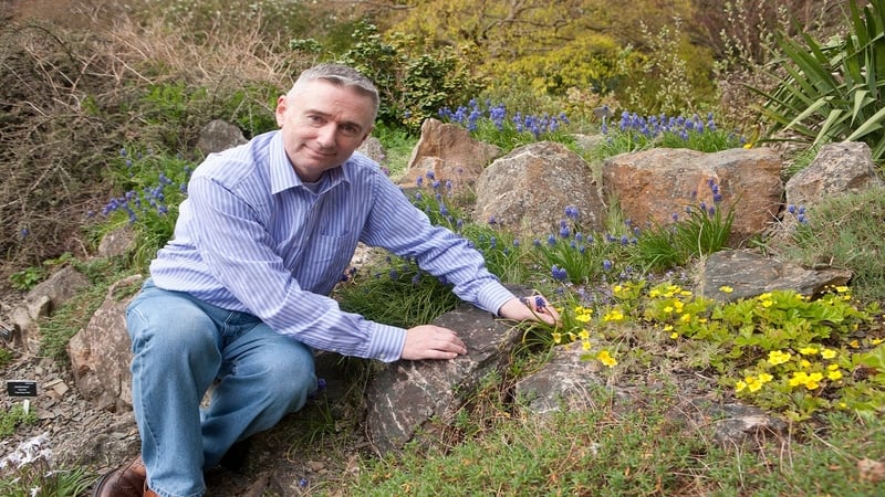Dermot enjoying the sunshine.