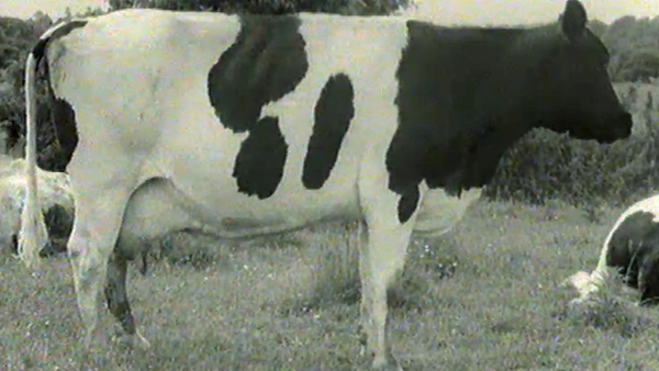Life on a family farm in 1966