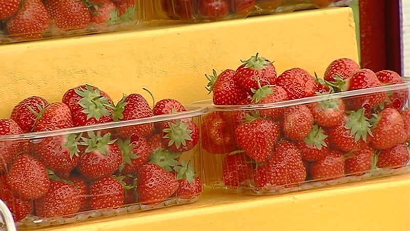 Retailers and restaurateurs are taking food sustainability into account when catering for the public