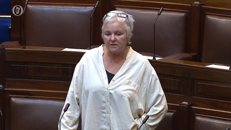 Bríd Smith tabled the motion