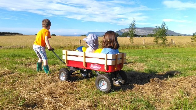 Taxi anyone? Taking in the view of Knocknarea & Benbulben (Pic: McElhinney)
