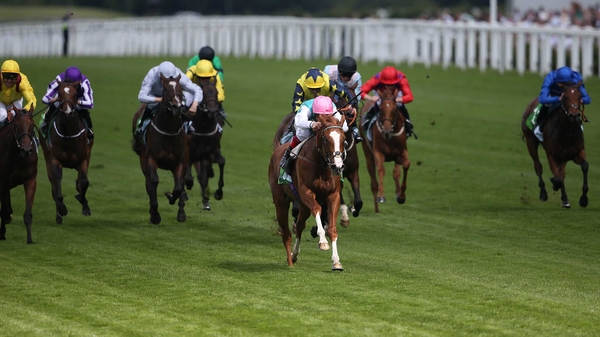 Fair Eva is the general 4-7 favourite for the Rockfel
