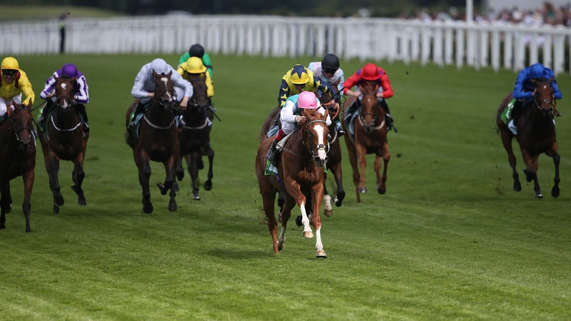 Fair Eva is a general 4-1 for next year's 1000 Guineas