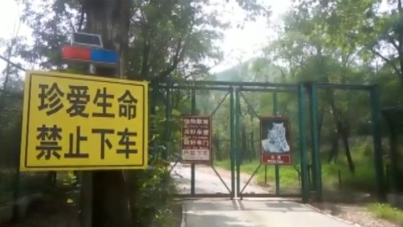 The attack took place at Beijing Badaling Wildlife World yesterday
