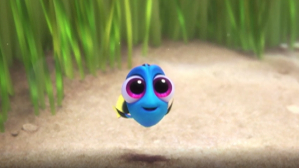 Finding Dory