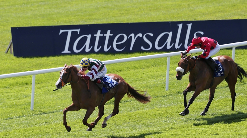 Creggs Pipes will tackle Group company for just the second time in her career on Saturday