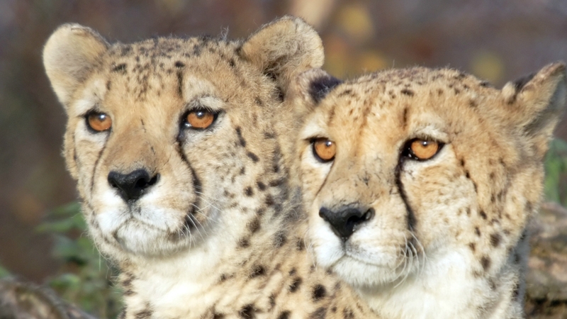 5 Staycation Ideas for Kids: Cork