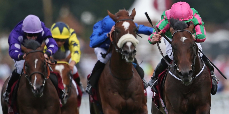 Ryan Moore riding War Decree (R) wins The Qatar Vintage Stakes