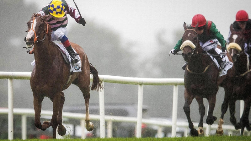 Declan McDonogh onboard Creggs Pipes comes home to win