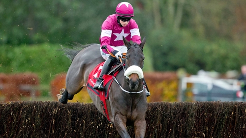 Lord Scoundrel was sold for just £9,000