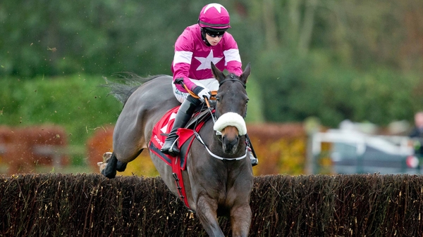 Lord Scoundrel was sold for just £9,000