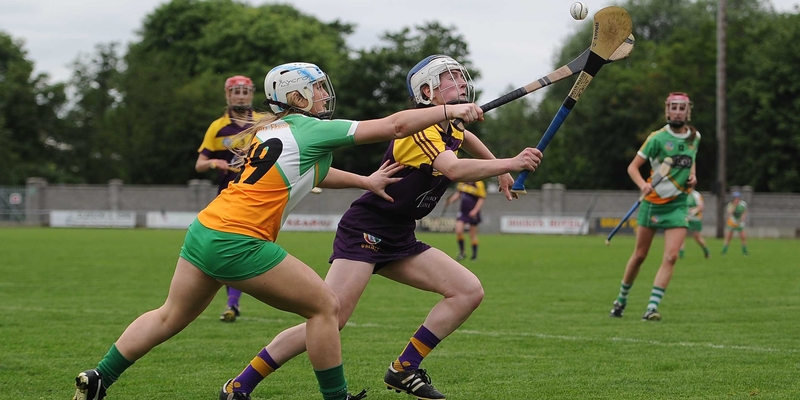 Offaly beat Wexford, Clare, Limerick and Waterford to reach the group stages
