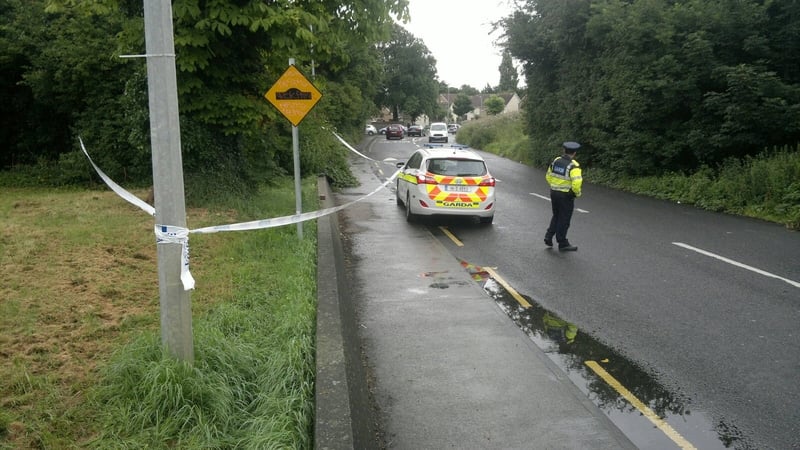 The woman was pushing her bicycle along the Lucan-Newlands Road when she was attacked