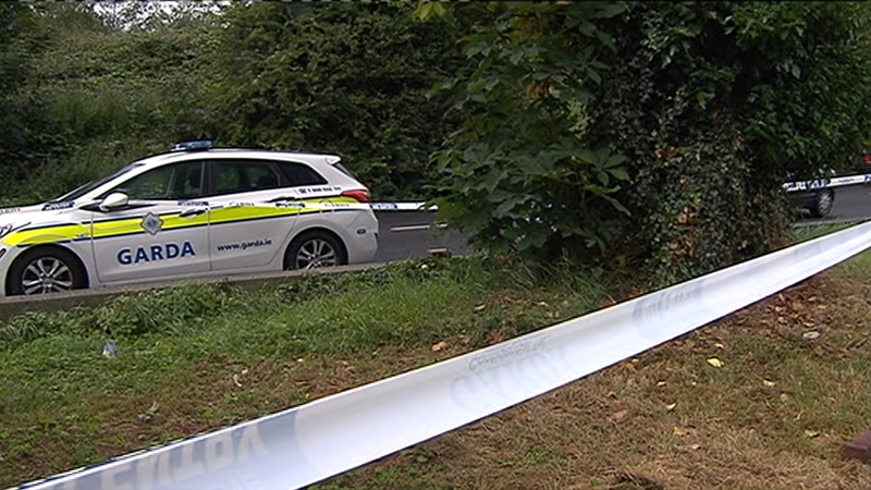 The woman was attacked in a park in Clondalkin as she walked to her home