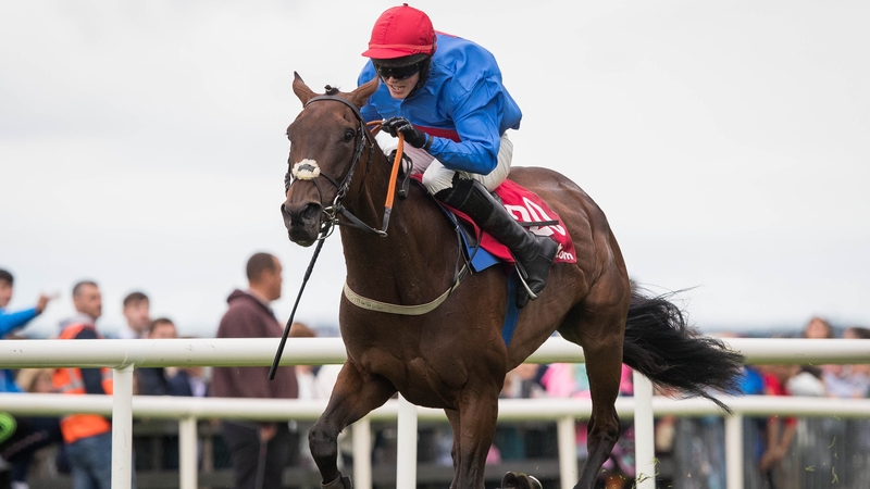 Plain Talking takes TheTote.com Handicap Hurdle on Wednesday at Ballybrit