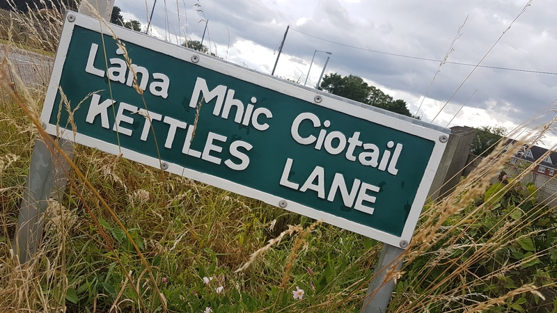 Three armed men broke into the man's house at Kettles Lane in Swords between 3am and 4am on Friday morning